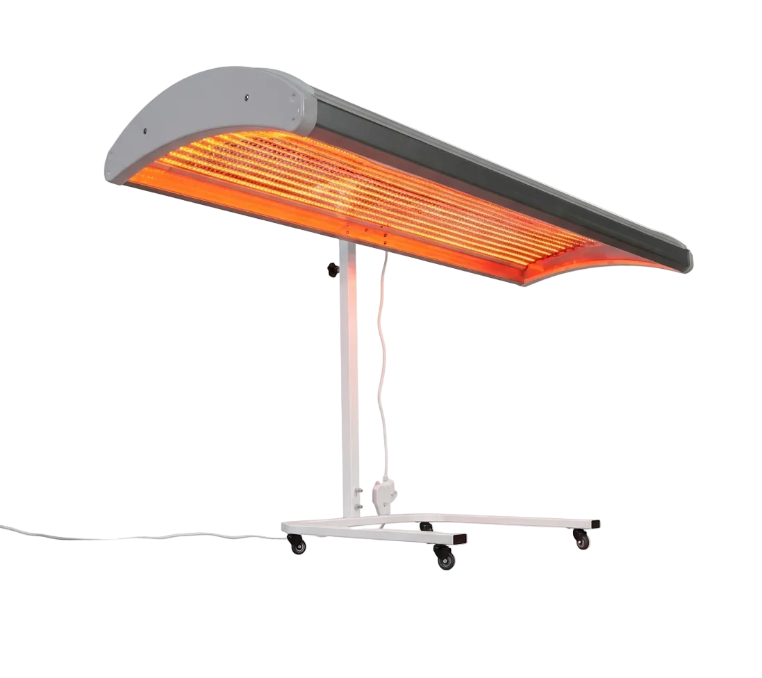 Evera Vector One
