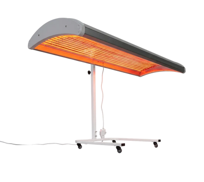 Evera Vector One