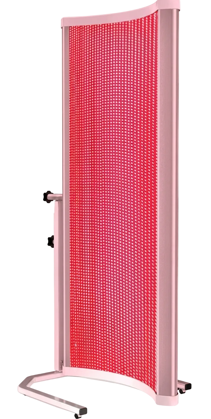 Evera Vector One