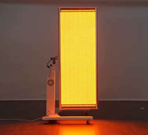 Evera Vector Max