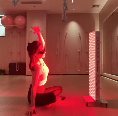 Evera Elite | High-Intensity Full Body System