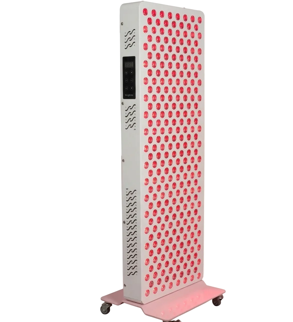 Evera Elite | High-Intensity Full Body System